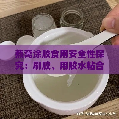 燕窝涂胶食用安全性探究：刷胶、用胶水粘合对身体的潜在危害