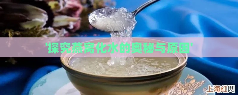 '探究燕窝化水的奥秘与原因'