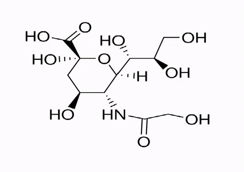 探究燕窝中蛋白质的含量及其营养价值