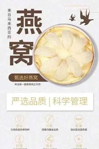 探究燕窝饼干的各种形状与独特风味：全面解析燕窝饼干的选择与购买指南