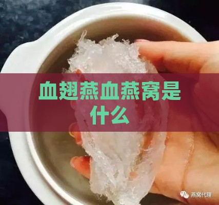 血翅燕血燕窝是什么