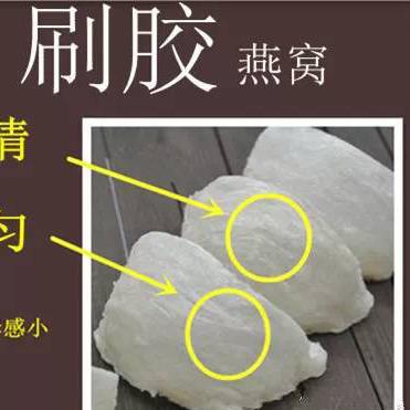 '揭秘燕窝刷胶真相：究竟使用何种胶水'