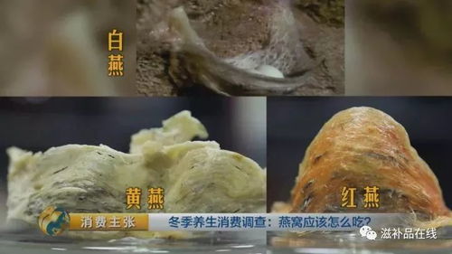 屋里做燕窝什么兆头