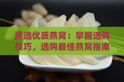 挑选优质燕窝：掌握选购技巧，选购更佳燕窝指南