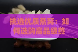 挑选优质燕窝：如何选购高品级燕窝指南