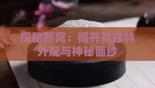 探秘燕窝：揭开其独特外观与神秘面纱