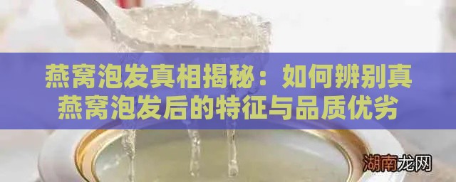 燕窝泡发真相揭秘：如何辨别真燕窝泡发后的特征与品质优劣