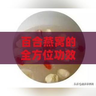 百合燕窝的全方位功效与作用：养生保健、美容养颜及适用人群解析