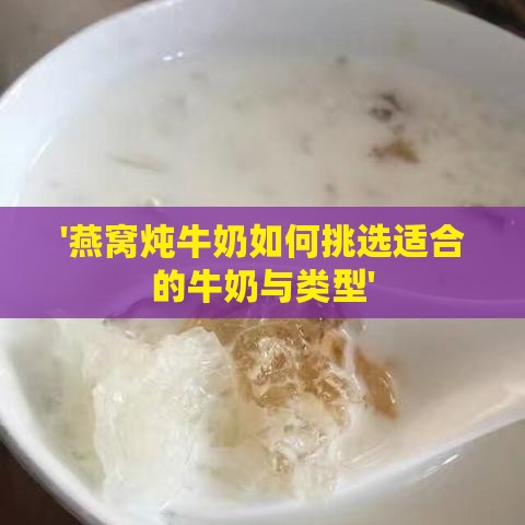 '燕窝炖牛奶如何挑选适合的牛奶与类型'