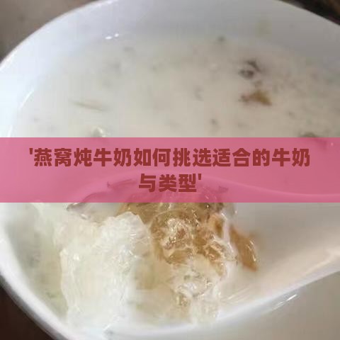 '燕窝炖牛奶如何挑选适合的牛奶与类型'