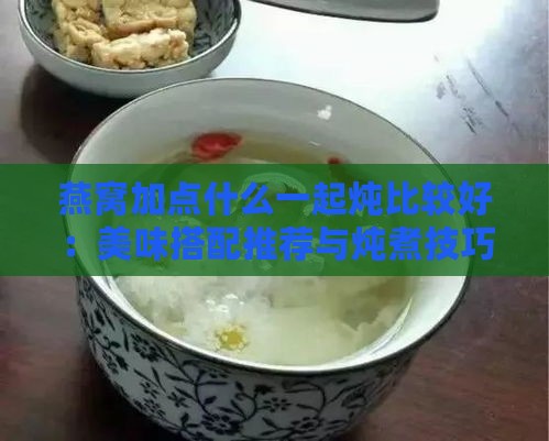 燕窝加点什么一起炖比较好：美味搭配推荐与炖煮技巧