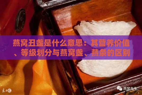 燕窝丑盏是什么意思：其营养价值、等级划分与燕窝盏、燕条的区别