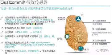 深度解析：燕窝丑条的定义、成因、鉴别与食用方法