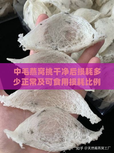 中毛燕窝挑干净后损耗多少正常及可食用损耗比例与斤数分析