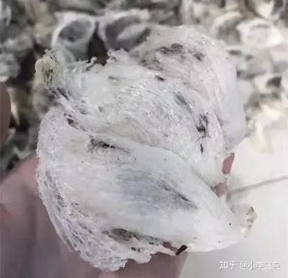 燕窝是什么样子的啊