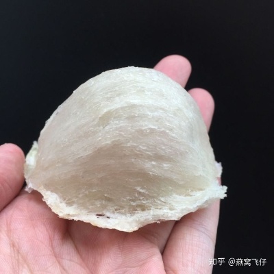 燕窝是什么样子的啊