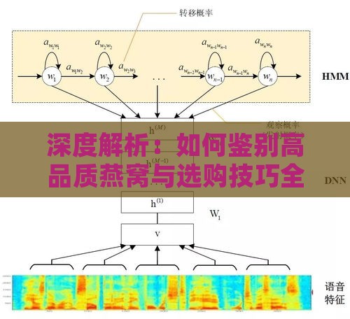 深度解析：如何鉴别高品质燕窝与选购技巧全攻略