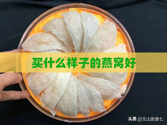 买什么样子的燕窝好