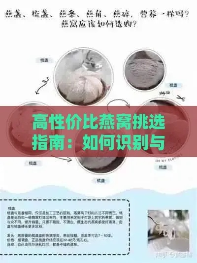 挑选高性价比燕窝：严选标准与购买攻略