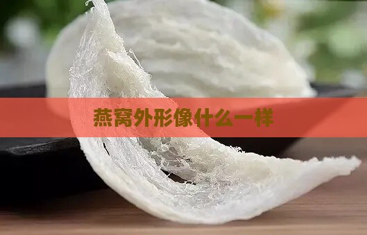 燕窝外形像什么一样