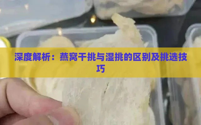 深度解析：燕窝干挑与湿挑的区别及挑选技巧