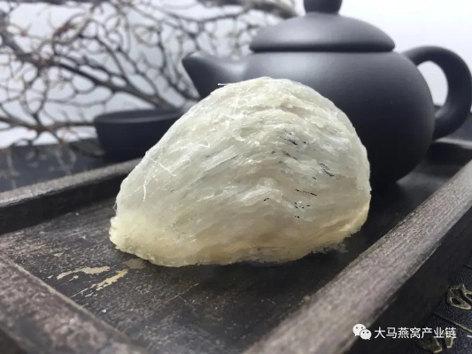 深度解析：燕窝干挑与湿挑的区别及挑选技巧