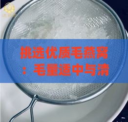 挑选优质毛燕窝：毛量适中与清洁度兼顾的标准