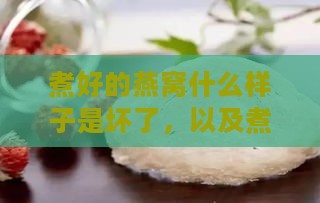 煮好的燕窝什么样子是坏了，以及煮熟后正常燕窝的特征