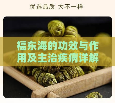 福东海的功效与作用及主治疾病详解