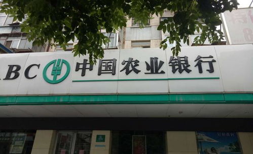 张家港有什么燕窝厂吗：地址、招聘、招工及专卖店位置一览