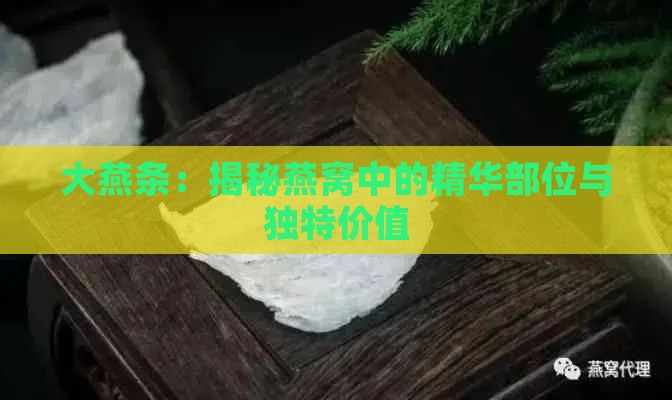 大燕条：揭秘燕窝中的精华部位与独特价值