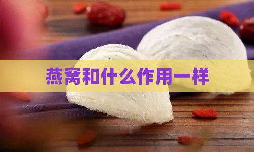 燕窝和什么作用一样