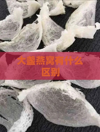 大盏燕窝有什么区别