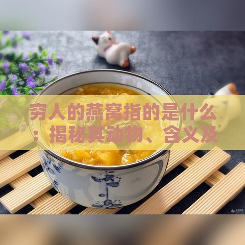 穷人的燕窝指的是什么：揭秘其动物、含义及具体物品