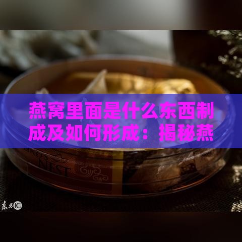 燕窝里面是什么东西制成及如何形成：揭秘燕窝的成分与形成过程