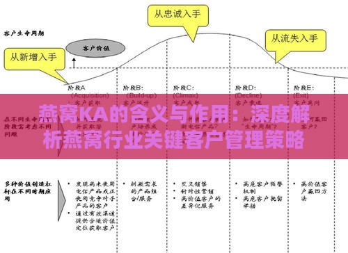 燕窝KA的含义与作用：深度解析燕窝行业关键客户管理策略