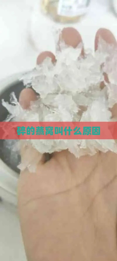 碎的燕窝叫什么原因