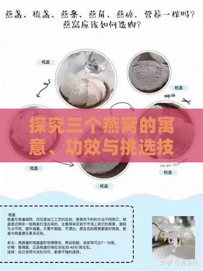 探究三个燕窝的寓意、功效与挑选技巧：全方位解读燕窝相关知识