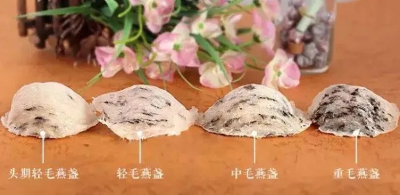 揭秘燕窝品种：粉色八角燕窝的特性与鉴别要点