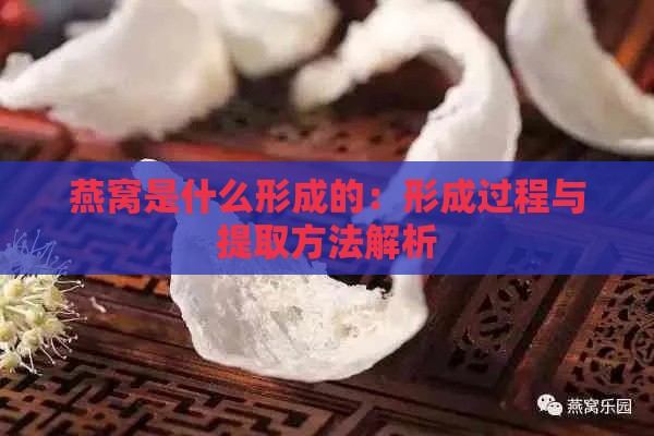 燕窝是什么形成的：形成过程与提取方法解析