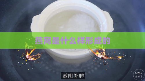 燕窝是什么样形成的