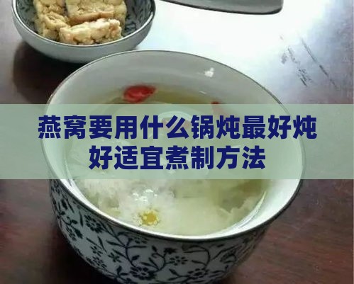 燕窝要用什么锅炖更好炖好适宜煮制方法