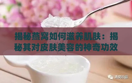 揭秘燕窝如何滋养肌肤：揭秘其对皮肤美容的神奇功效