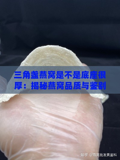 三角盏燕窝是不是底座很厚：揭秘燕窝品质与鉴别方法