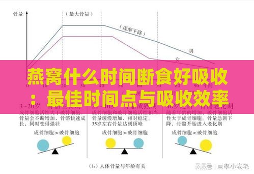 燕窝什么时间断食好吸收：更佳时间点与吸收效率探讨