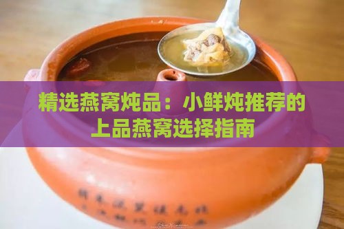 精选燕窝炖品：小鲜炖推荐的上品燕窝选择指南