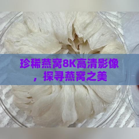 珍稀燕窝8K高清影像，探寻燕窝之美