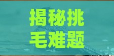 揭秘挑毛难题：这种燕窝究竟来自哪种珍稀鸟种？