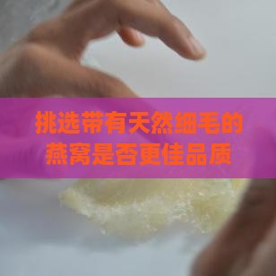 挑选带有天然细毛的燕窝是否更佳品质