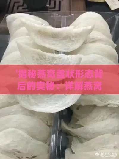 '揭秘燕窝盏状形态背后的奥秘：详解燕窝盏的含义与价值'